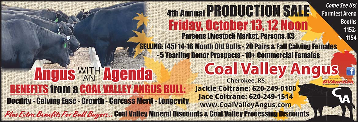 Coal Valley Annual Production Sale Ad